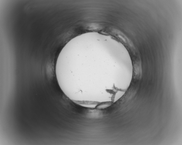 X0000101460376200807281004