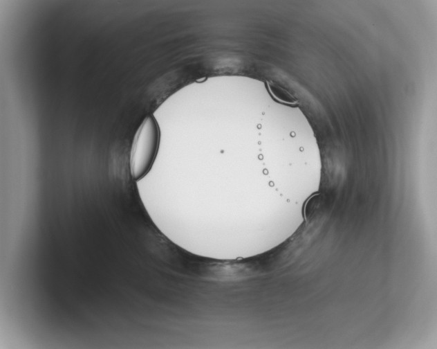 X0000101460379200807281004