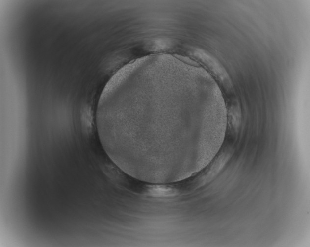 X0000101460380200807281004