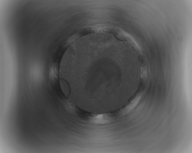 X0000101460382200807281004