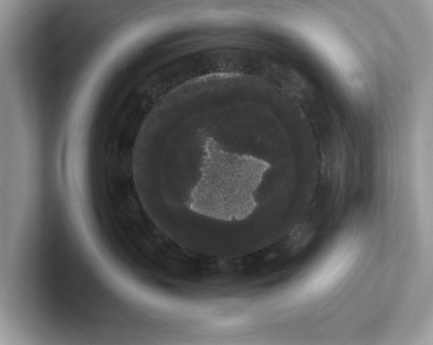 X0000101460383200807281004