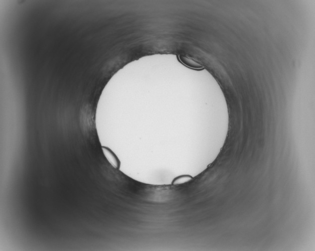 X0000101460384200807281004