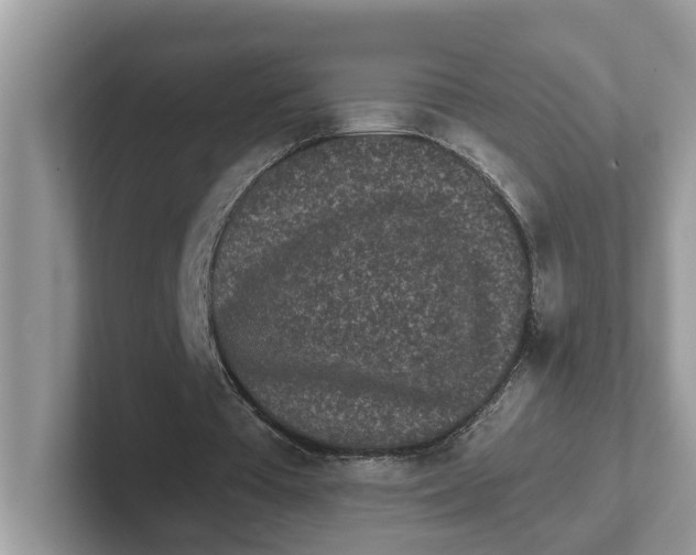 X0000101460385200807281004