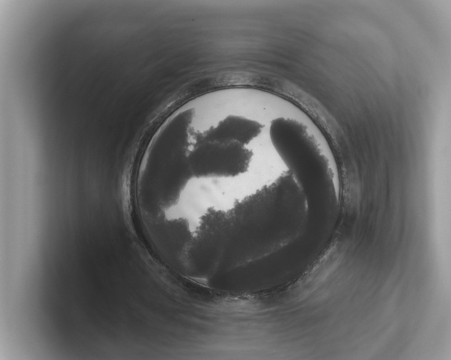 X0000101460386200807281004