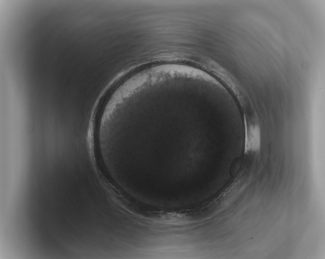 X0000101460387200807281004