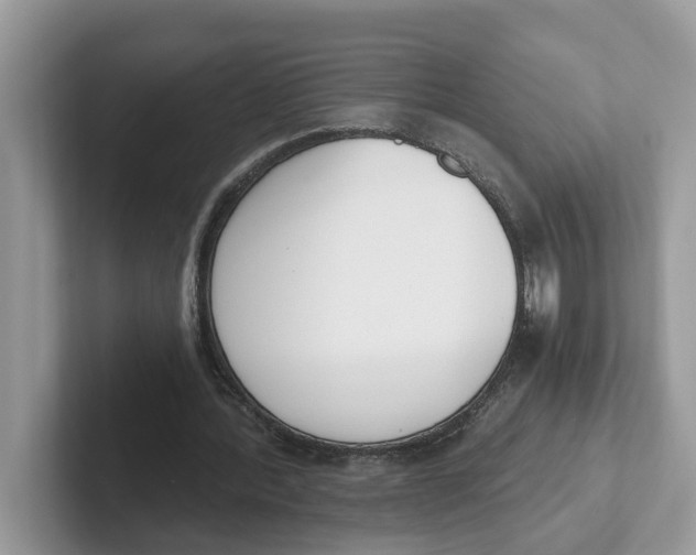 X0000101460388200807281004