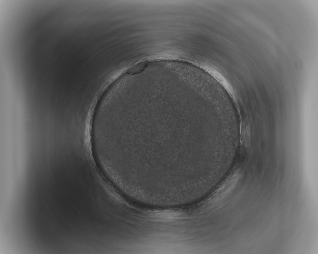 X0000101460389200807281004