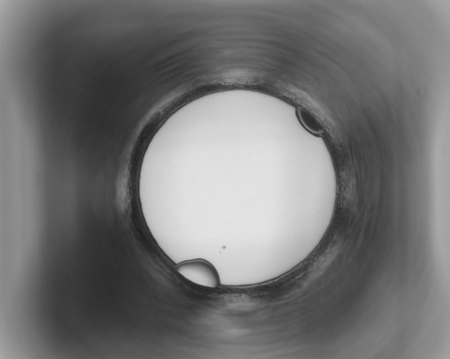 X0000101460392200807281003