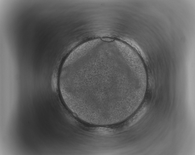 X0000101460393200807281003