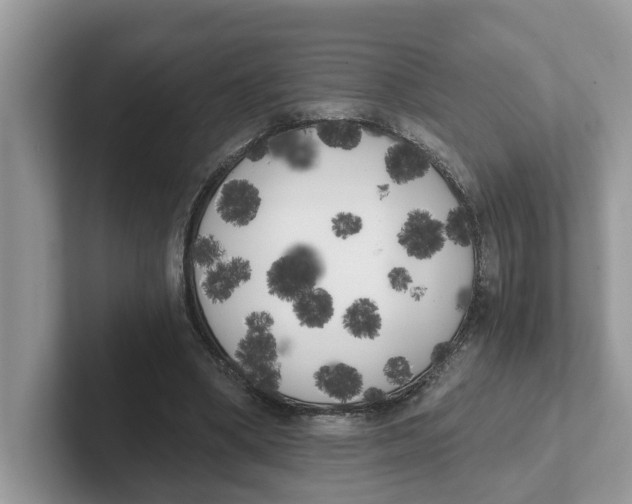 X0000101460394200807281003