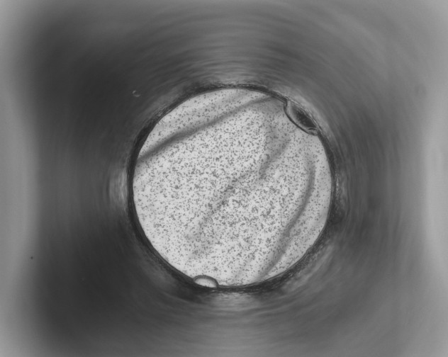 X0000101460397200807281003