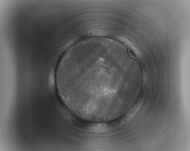 X0000101460398200807281003