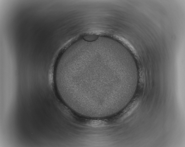 X0000101460399200807281003