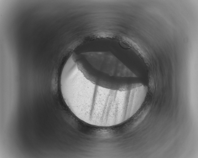 X0000101460402200807281003