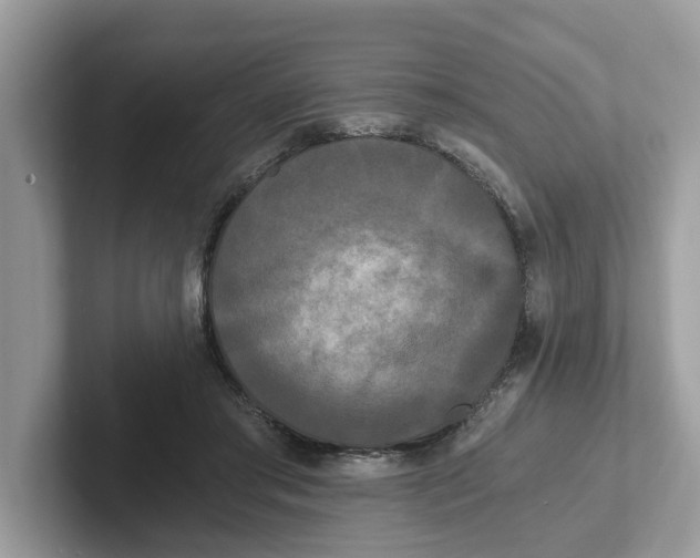 X0000101460405200807281003