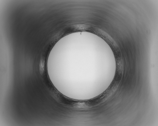 X0000101460406200807281003