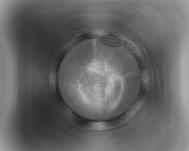 X0000101460409200807281003