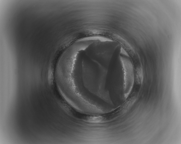 X0000101460410200807281003