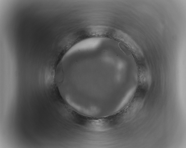 X0000101460411200807281003