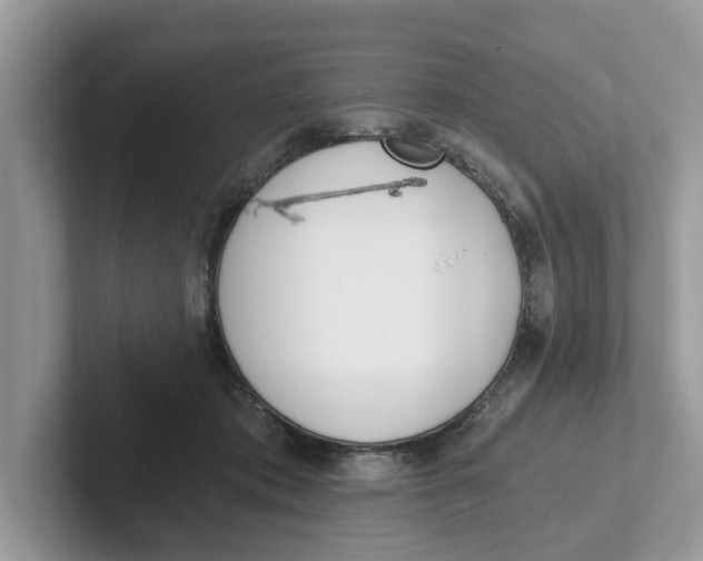 X0000101460413200807281003