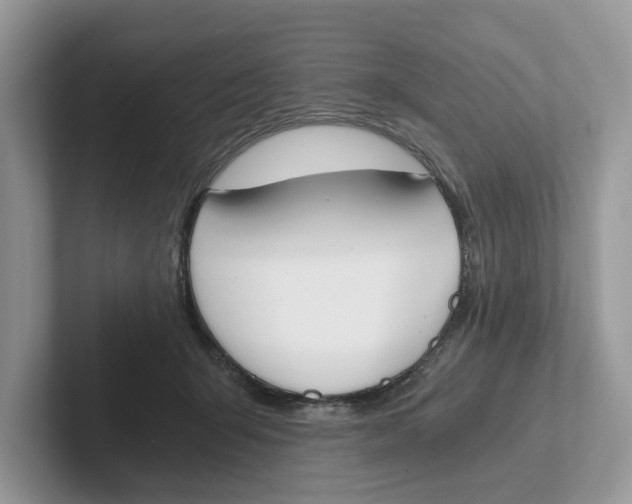 X0000101460415200807281003