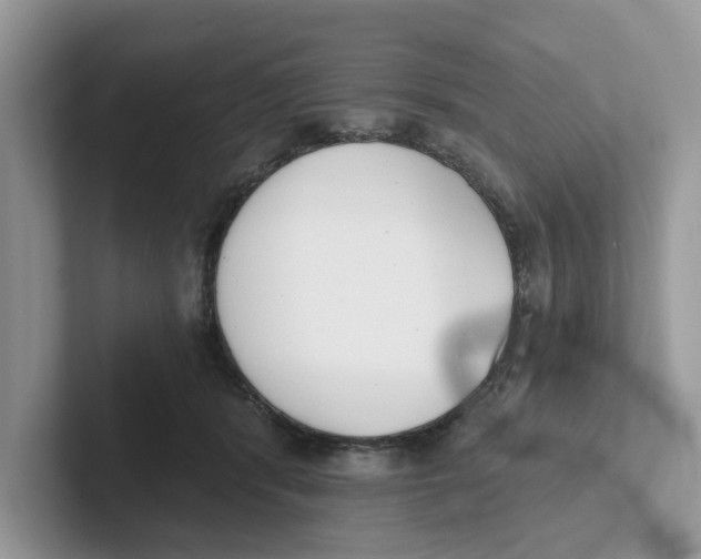 X0000101460416200807281003