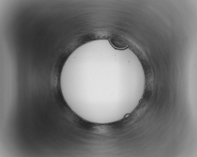 X0000101460417200807281003