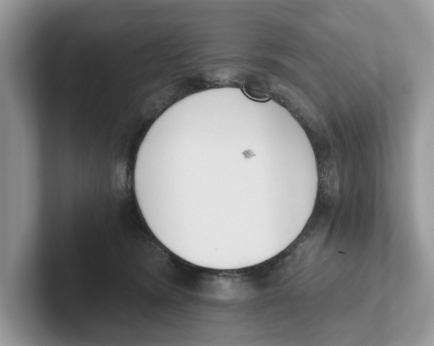 X0000101460420200807281003