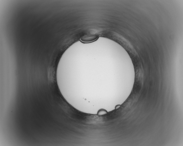 X0000101460421200807281003