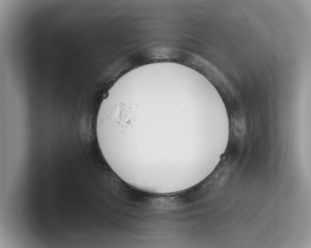 X0000101460422200807281003