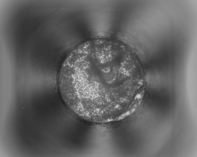 X0000101460423200807281003