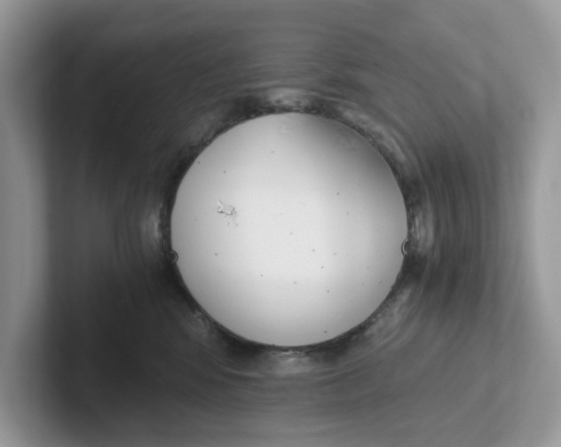 X0000101460424200807281003