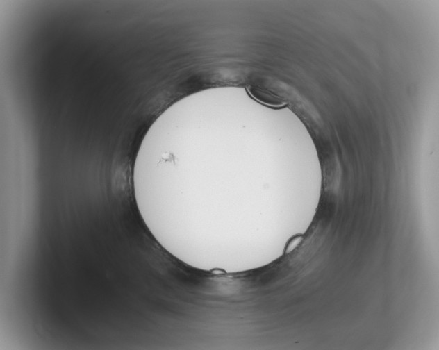 X0000101460425200807281003