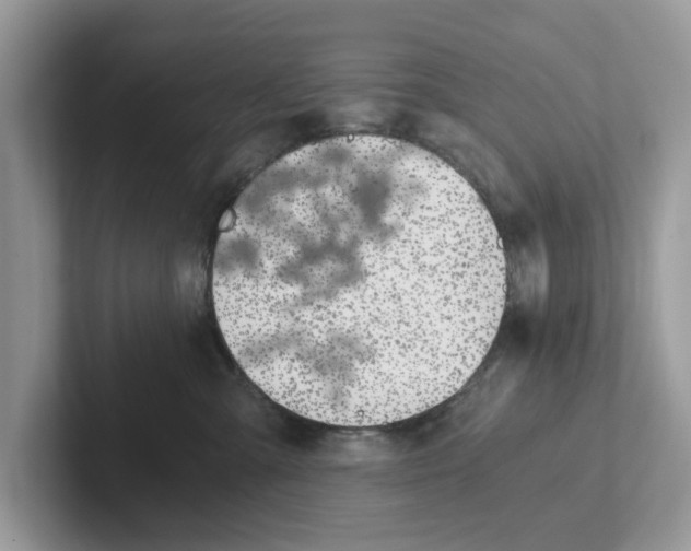 X0000101460427200807281003