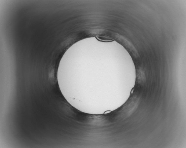 X0000101460428200807281003