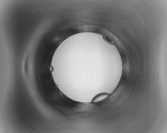 X0000101460429200807281003