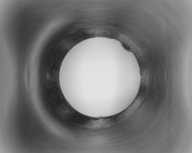 X0000101460430200807281003