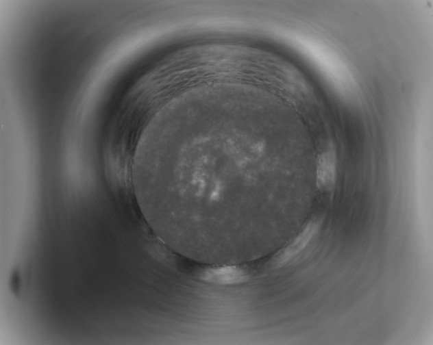 X0000101460431200807281003