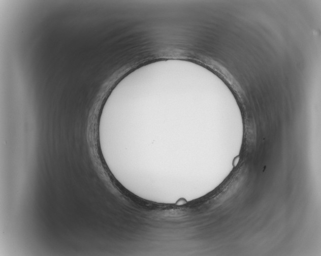 X0000101460433200807281002