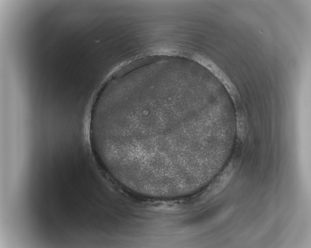 X0000101460434200807281002