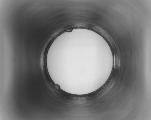 X0000101460435200807281002