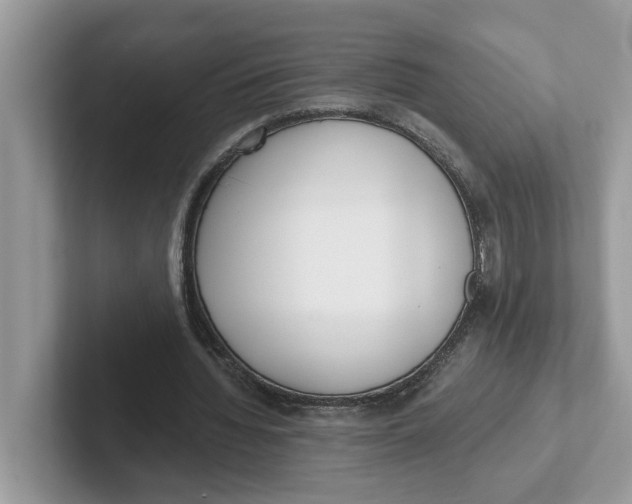 X0000101460436200807281002