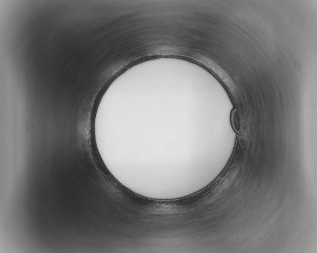 X0000101460437200807281002