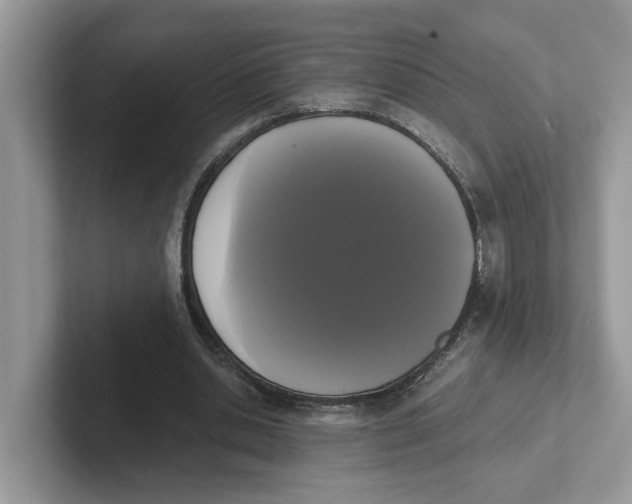 X0000101460438200807281002