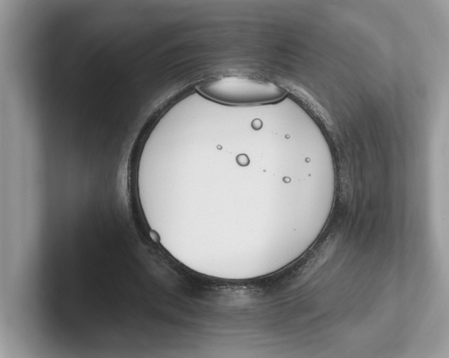 X0000101460439200807281002