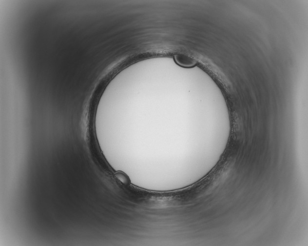 X0000101460440200807281002