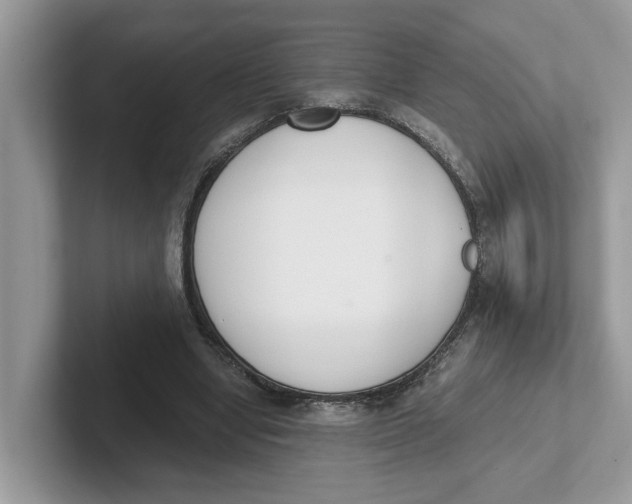 X0000101460442200807281002