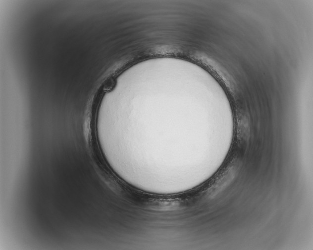 X0000101460443200807281002