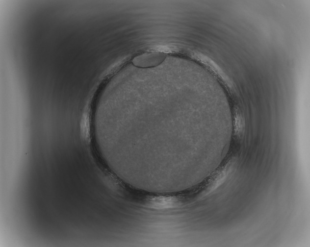 X0000101460444200807281002