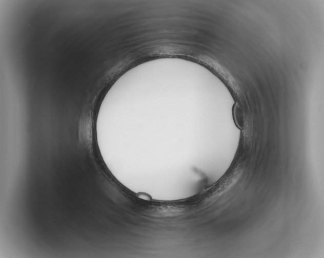 X0000101460445200807281002